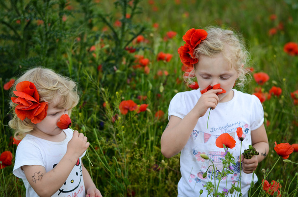 kinderen in een maïs poppy-veld - Foto, afbeelding