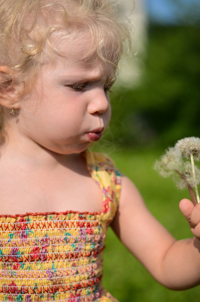 Girl blowing a dandelion - Photo, Image