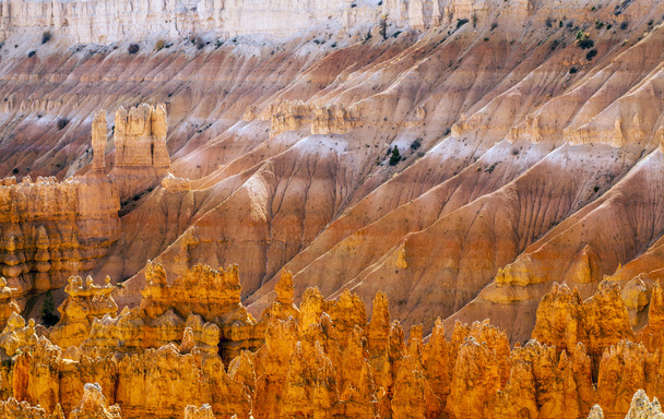 Bryce Canyon Nemzeti Park - Fotó, kép
