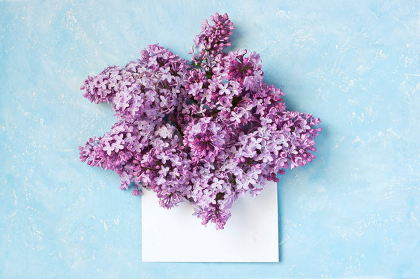 Lilac branch in   envelope on  color background - Zdjęcie, obraz