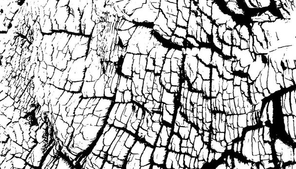 Superposición de textura angustiada de superficie rugosa, tocón de árbol viejo, anillos en el árbol. Fondo grunge. Un recurso gráfico de color
. - Vector, Imagen