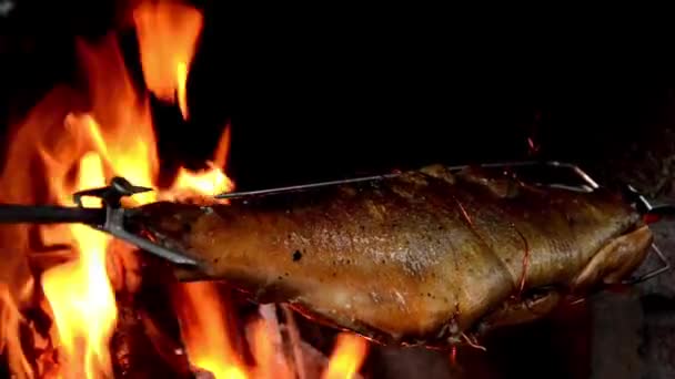 Fisch gebürstet - Filmmaterial, Video