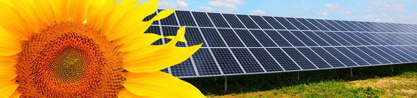 Panele energii słonecznej na polu słonecznika - Zdjęcie, obraz