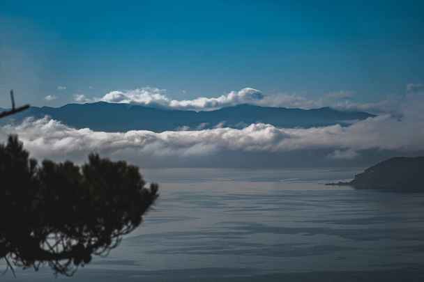 Wellington in a foggy morning, New Zealand - Zdjęcie, obraz