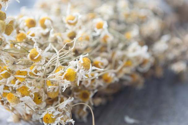 getrocknete Kamille oder Matricaria chamomilla auf Holz - Foto, Bild