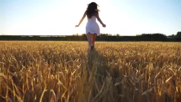 Aantrekkelijke vrouw in witte jurk loopt door het veld met gele rijpe tarwe bij zonsondergang. Jong zorgeloos meisje genietend van vrijheid in een prachtige natuur. Scenic zomerlandschap. Langzame beweging - Video