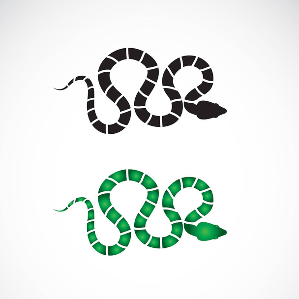 Vektor des Schlangendesigns auf weißem Hintergrund. Tiere. Reptil. sn - Vektor, Bild