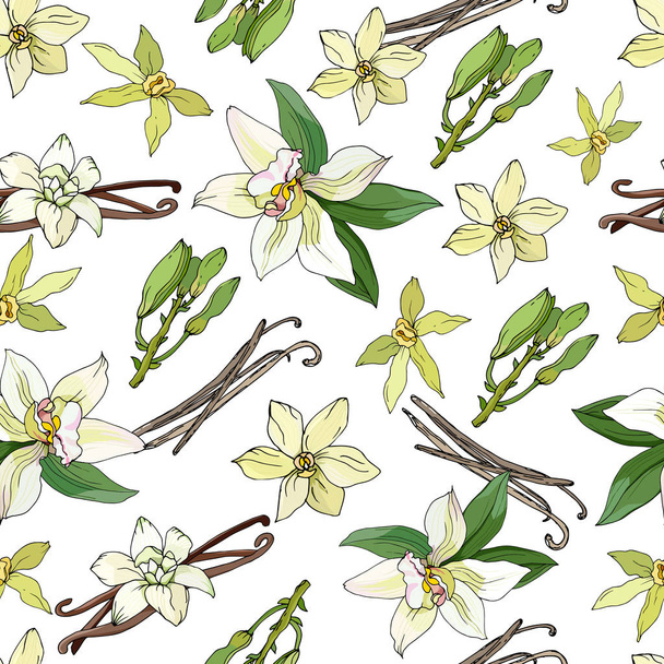 Light pattern of vanilla flowers on a white background. Seamless vector illustration of tropical flowers. - Вектор,изображение