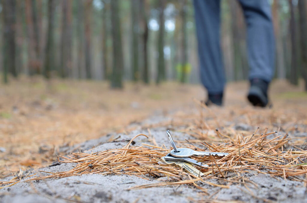 Młody człowiek gubi klucze na rosyjskiej jesiennej ścieżce z drewna jodłowego. Koncepcja niedbalstwa i utraty kluczy - Zdjęcie, obraz