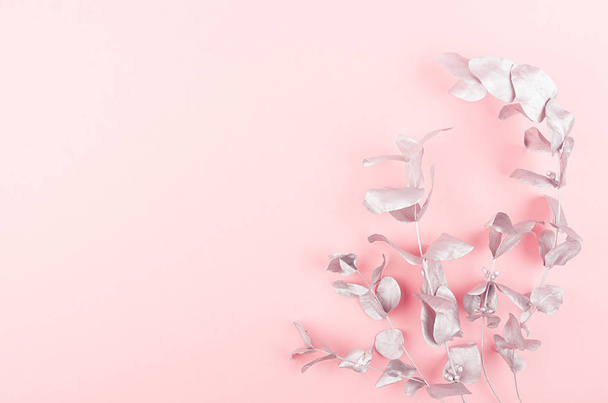 Gentle simple decorative border of silver branches with copy space on pastel pink background, top view. - Foto, immagini