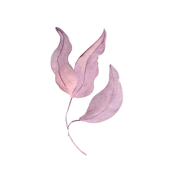 Autumn leaf branch watercolor illustration element decor plant - Fotografie, Obrázek