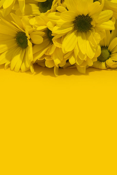 gelber Chrysanthemenstrauß auf gelbem Hintergrund. Kopierraum - Foto, Bild