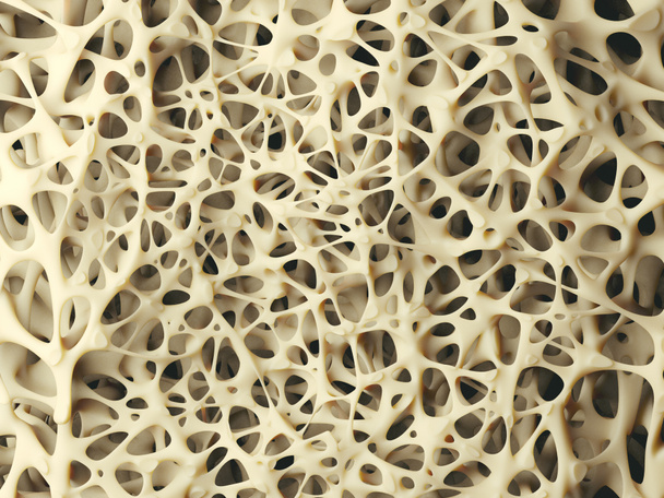 Estrutura óssea close-up
 - Foto, Imagem