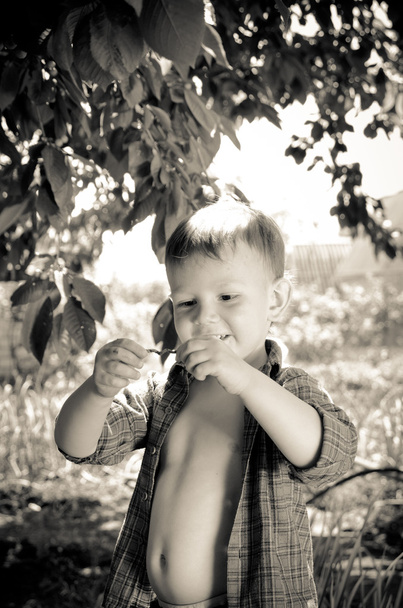 Söpö poika opiskelee kiemurtelevaa matoa.
 - Valokuva, kuva
