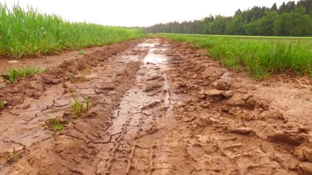 Veel regen op nat, modderig pad op het veld. - Video