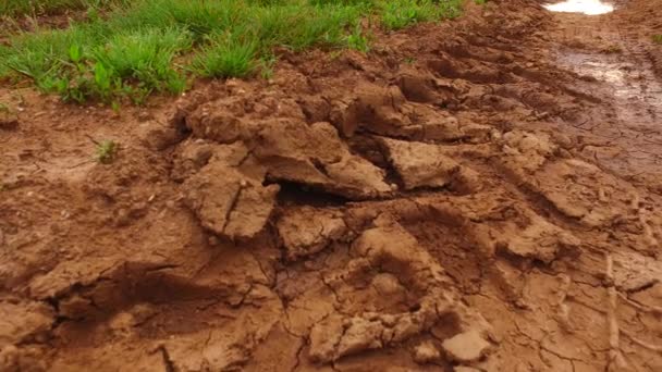 A lot of rain on wet, muddy path on the field. - Video, Çekim