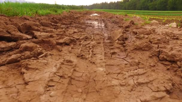 A lot of rain on wet, muddy path on the field. - Imágenes, Vídeo