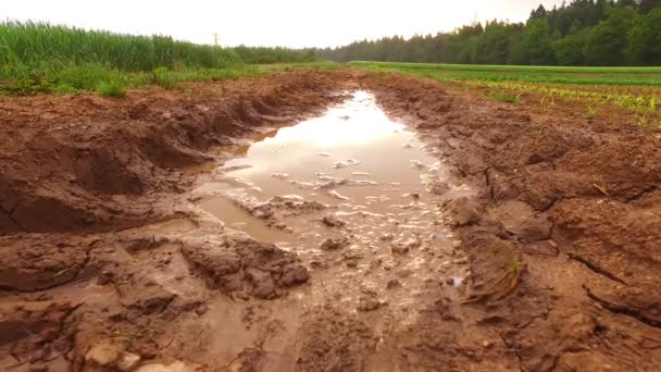 A lot of rain on wet, muddy path on the field. - Video