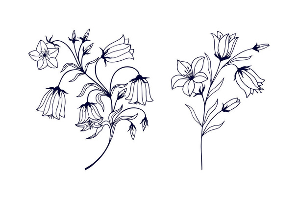 Ένα σετ από καμπάνες λουλουδιών. eps10 διανυσματική απεικόνιση αποθεμάτων. σχέδιο στο χέρι - Διάνυσμα, εικόνα