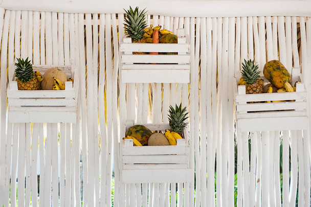 Vintage white wooden wall with tropical fruits on it. Summer conception - Фото, изображение