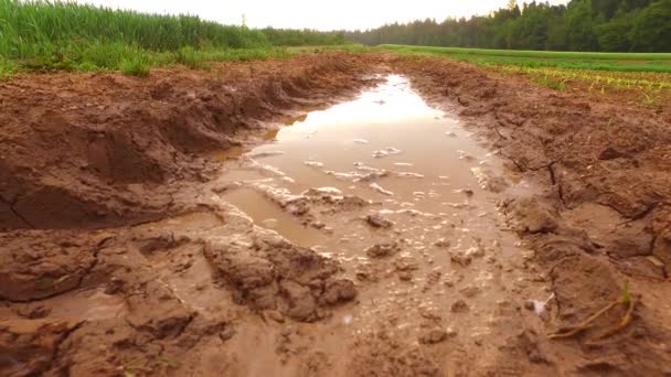A lot of rain on wet, muddy path on the field. - Video, Çekim