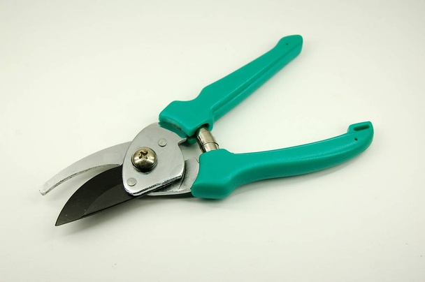 green secateurs with a handle on a white background - 写真・画像