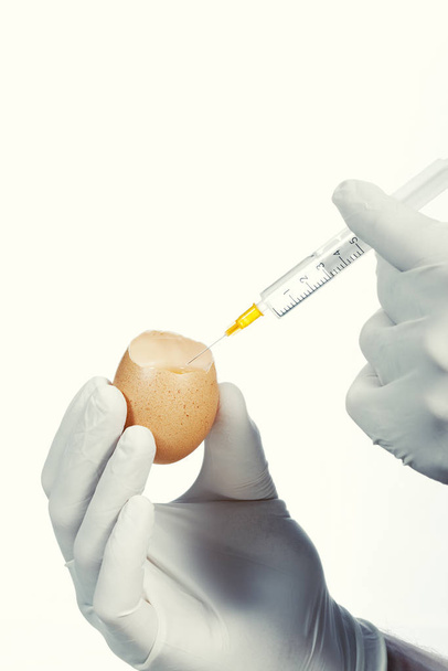 yringe injecting egg for experiment - 写真・画像