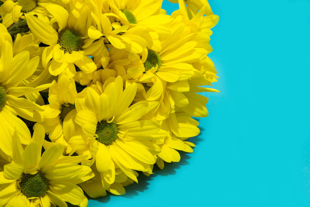 Žlutá kytice chryzantémy na modrém pozadí. Kopírovat prostor - Fotografie, Obrázek