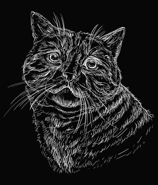 Černý vektorový portrét kočky 1 - Vektor, obrázek