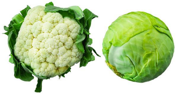 Πράσινο λάχανο και κουνουπίδι απομονώνονται σε λευκό φόντο - Φωτογραφία, εικόνα