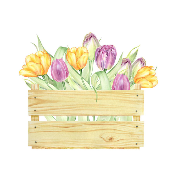 Akvarell tulipánok. Húsvéti sablonok, tavaszi esküvői virágok - Fotó, kép