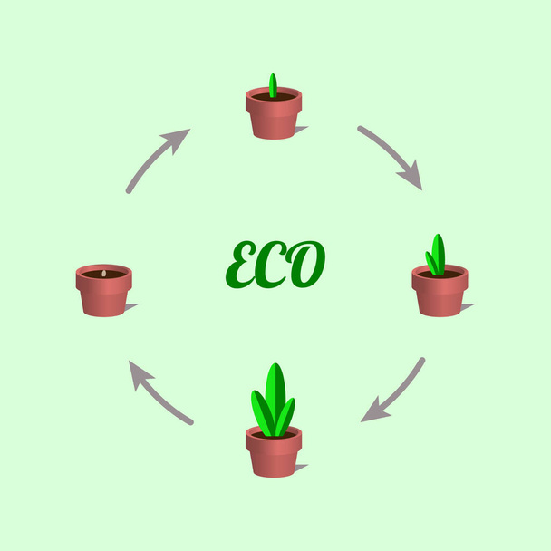 Seedling infographics with phases of plant growth. - Vector, Image