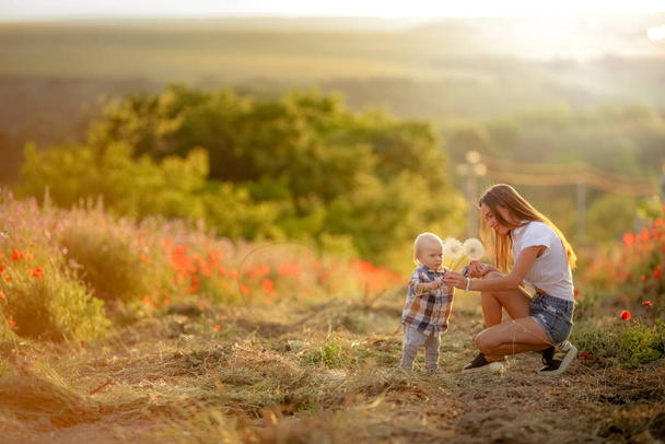 Молода мати збирає дикі кульбаби в полі і показує їх своєму синові
 - Фото, зображення