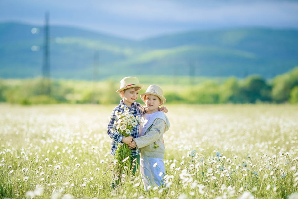 Rural scene of two brothers on a walk in a meadow while collecting daisies - Photo, Image