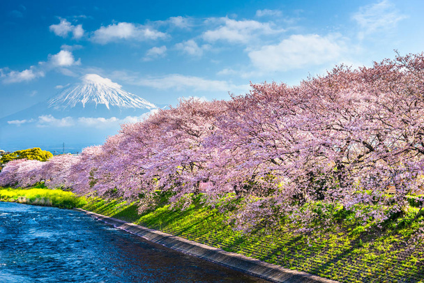 Гора. Фудзи, Япония из префектуры Сидзуока весной
 - Фото, изображение