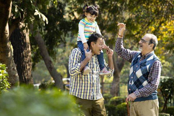 Happy multi generation Indian family at park outdoor - Foto, Imagem