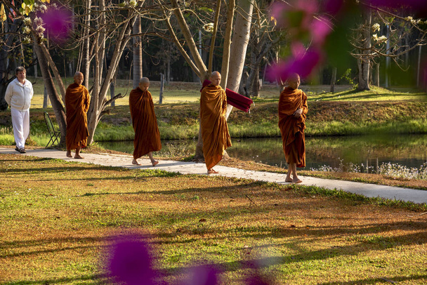 Vipassana in the monastery. Thailand. Chiang Mai city. 15 February 2019 - Fotoğraf, Görsel