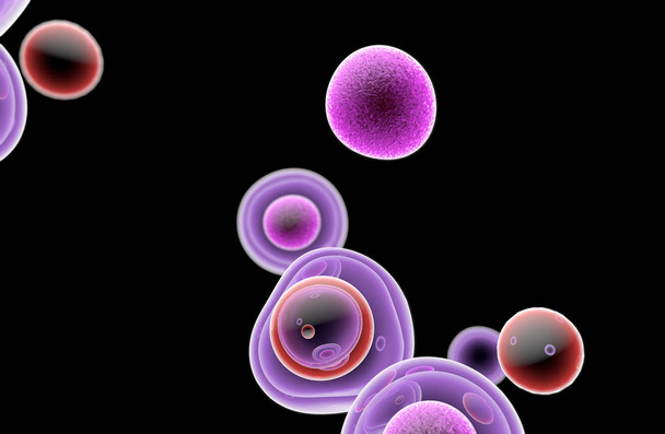 Ембріональні стовбурні клітини клітинної терапії регенерації - Фото, зображення