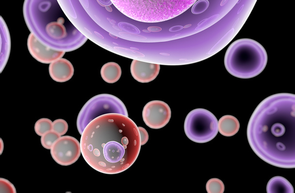 Alkioiden kantasolujen soluterapian uusiutuminen
 - Valokuva, kuva