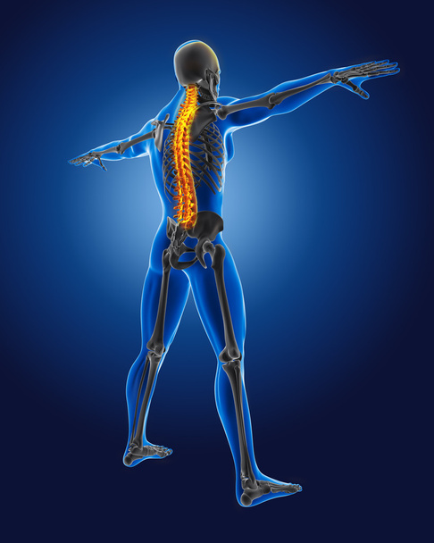3D medical man with skeleton - Photo, Image
