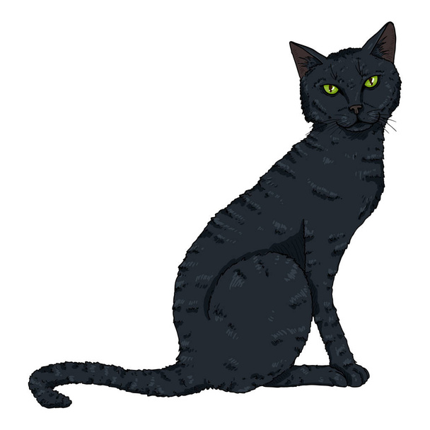 Sentado Gato Negro. Ilustración de dibujos animados vectoriales
 - Vector, imagen