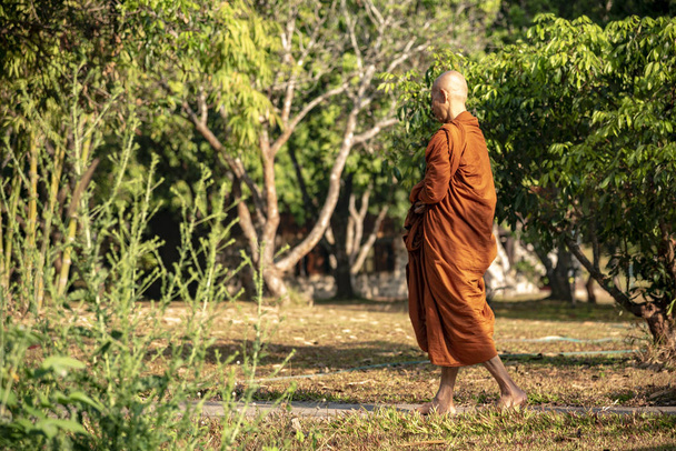 Vipassana v klášteře. Thajsko. Město Chiang Mai. 15. února 2019 - Fotografie, Obrázek