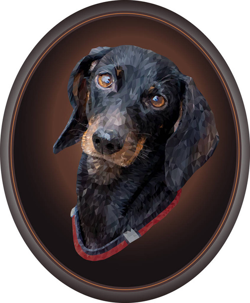 Retrato de perro Dachshund en marco oval. Vector. Gráficos poligonales
. - Vector, imagen