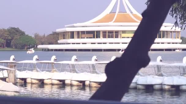 Duck Boat Pedalo or Paddle Goose Boat in Public Lake Park Suanluang RAMA 9 Bangkok, Thailand for Relaxing time, Landscape Lake and white Paddle Boats pedal in Public Park view - Video, Çekim