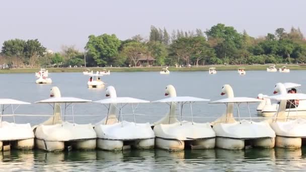 Kaczka Boat Pedalo or Paddle Goose Boat in Public Lake Park Suanluang Rama 9 Bangkok, Tajlandia dla relaksu, Krajobraz Jezioro i biały Paddle Boats pedał w parku publicznym widok - Materiał filmowy, wideo