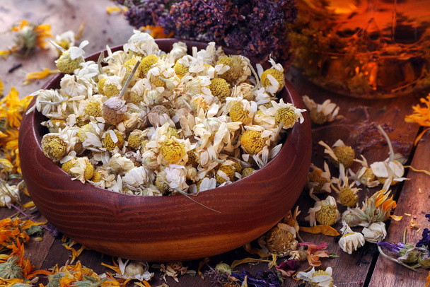 dried flowers of medicinal chamomile. camomile flowers in a wooden bowl. cup of fresh chamomile tea. medicinal herbs - 写真・画像