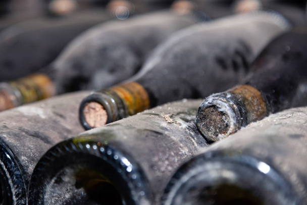 Closeup dark dusty wine bottles with old crumbly cork. Long aging, musty winery vault, rare ancient collection, cork worm - Fotoğraf, Görsel