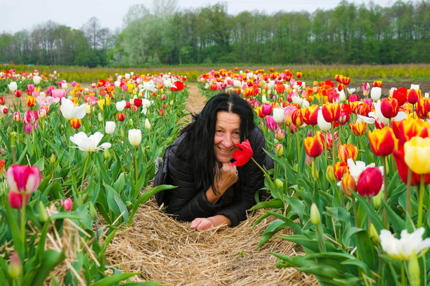 A smiling happy woman of fifty-nine years in black lies with her back to the top between two long rows of bright tulips in Ukraine. - Photo, Image