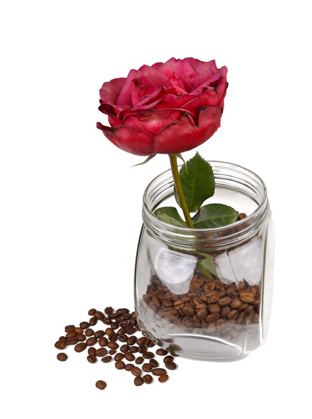 Rose in jar with coffee - Fotoğraf, Görsel