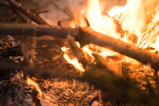 winter bonfire burns bright orange - Foto, afbeelding